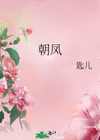 朝凤